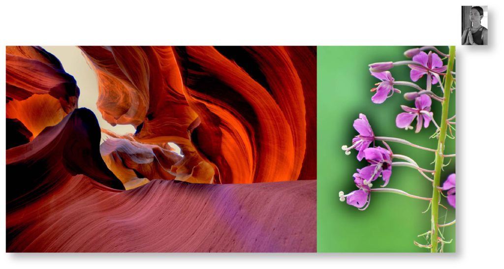 Open Attention Photographic Collage Antelope Canyon USA with Wild Flowers Brandywine Falls Canada