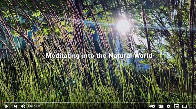 Meditating into the Natural World - Chong, Garrett Andrew