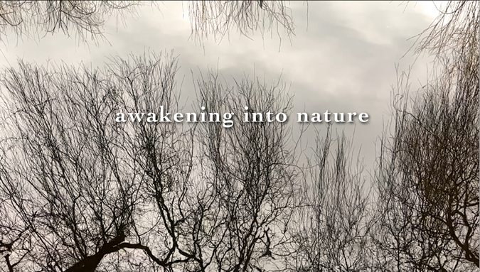 Awakening into Nature, Short Film: Chong, Garrett Andrew